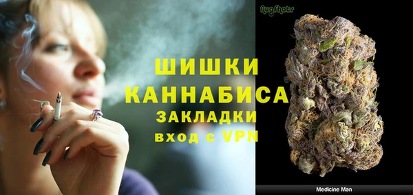 ПСИЛОЦИБИНОВЫЕ ГРИБЫ Кулебаки