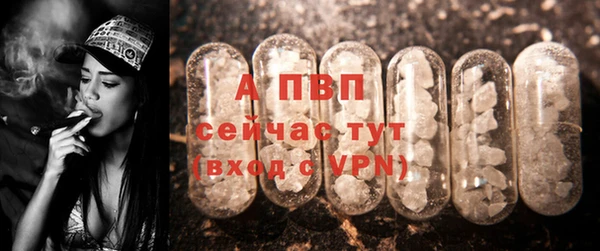 ПСИЛОЦИБИНОВЫЕ ГРИБЫ Кулебаки
