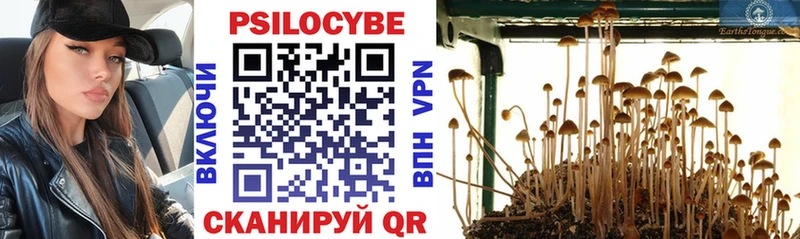 Купить закладки  Красноуфимск  Псилоцибиновые грибы Psilocybe 